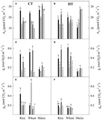 Acclimation of Biochemical and Diffusive Components of Photosynthesis in Rice, Wheat, and Maize to Heat and Water Deficit: Implications for Modeling Photosynthesis